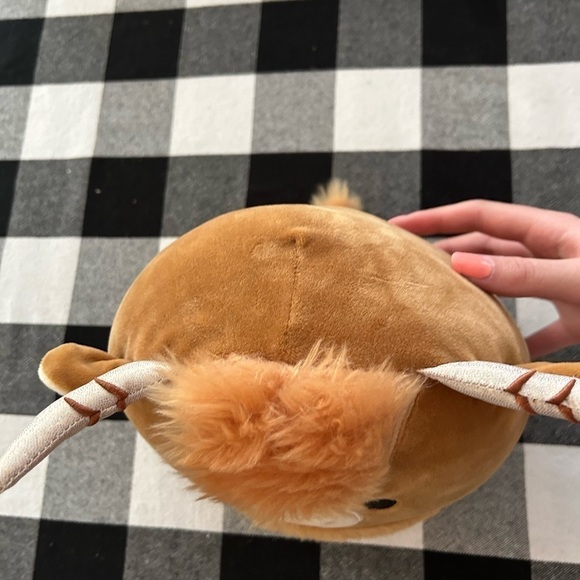 Wilfred the highland cow - Picture 6 of 8